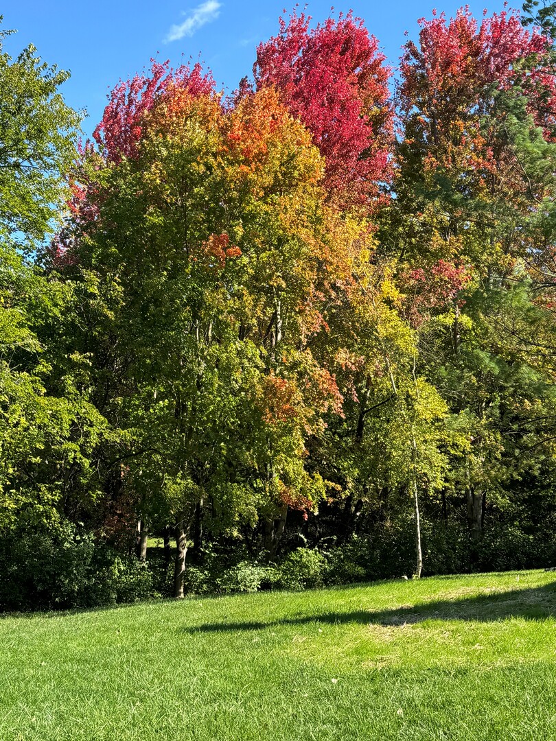 8877 Kennedy Road Yorkville, IL 60560 - Photo 80 of 86