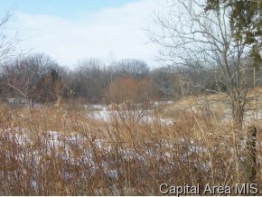 455 Leetham Road Murrayville, IL 62668 - Photo 8 of 8
