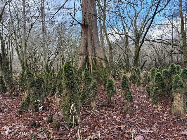 $107,000 | 14 Off Highway, Kosciusko, MS 39090