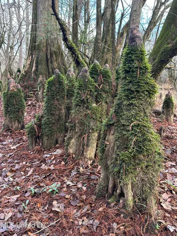 $107,000 | 14 Off Highway, Kosciusko, MS 39090