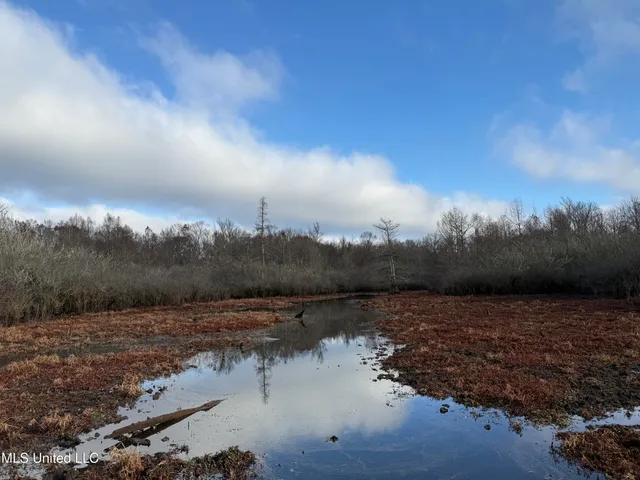 $107,000 | 14 Off Highway, Kosciusko, MS 39090