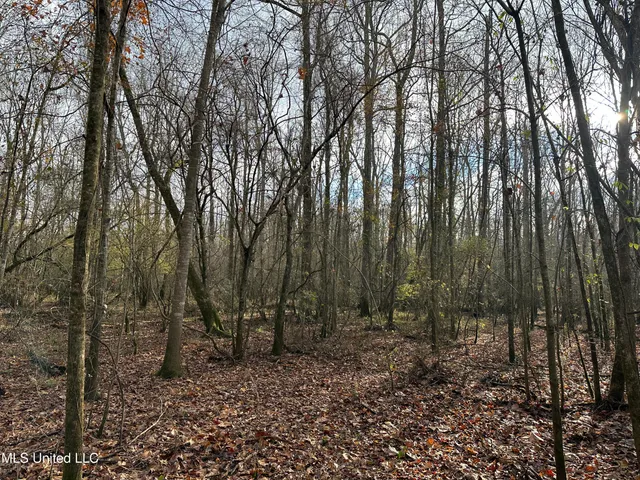 $107,000 | 14 Off Highway, Kosciusko, MS 39090