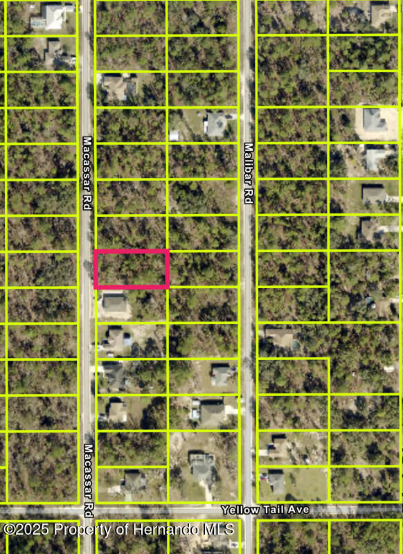 Lot 9 Macassar Road Weeki Wachee, FL 34614 - Photo 4 of 4