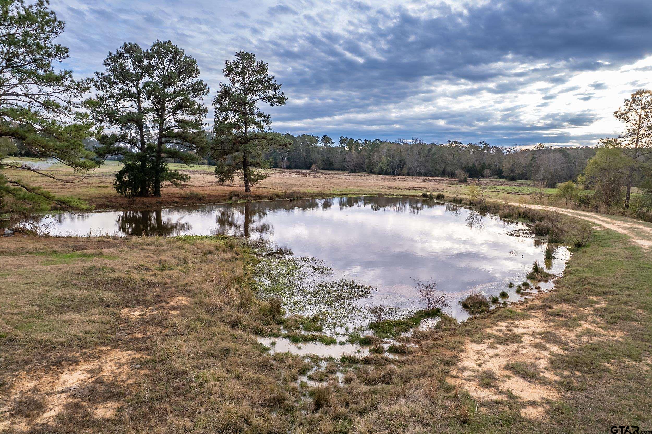 23 St Rusk Tx 75785 Rusk, TX 75785 - Photo 15 of 33 a view of a lake with houses in the back