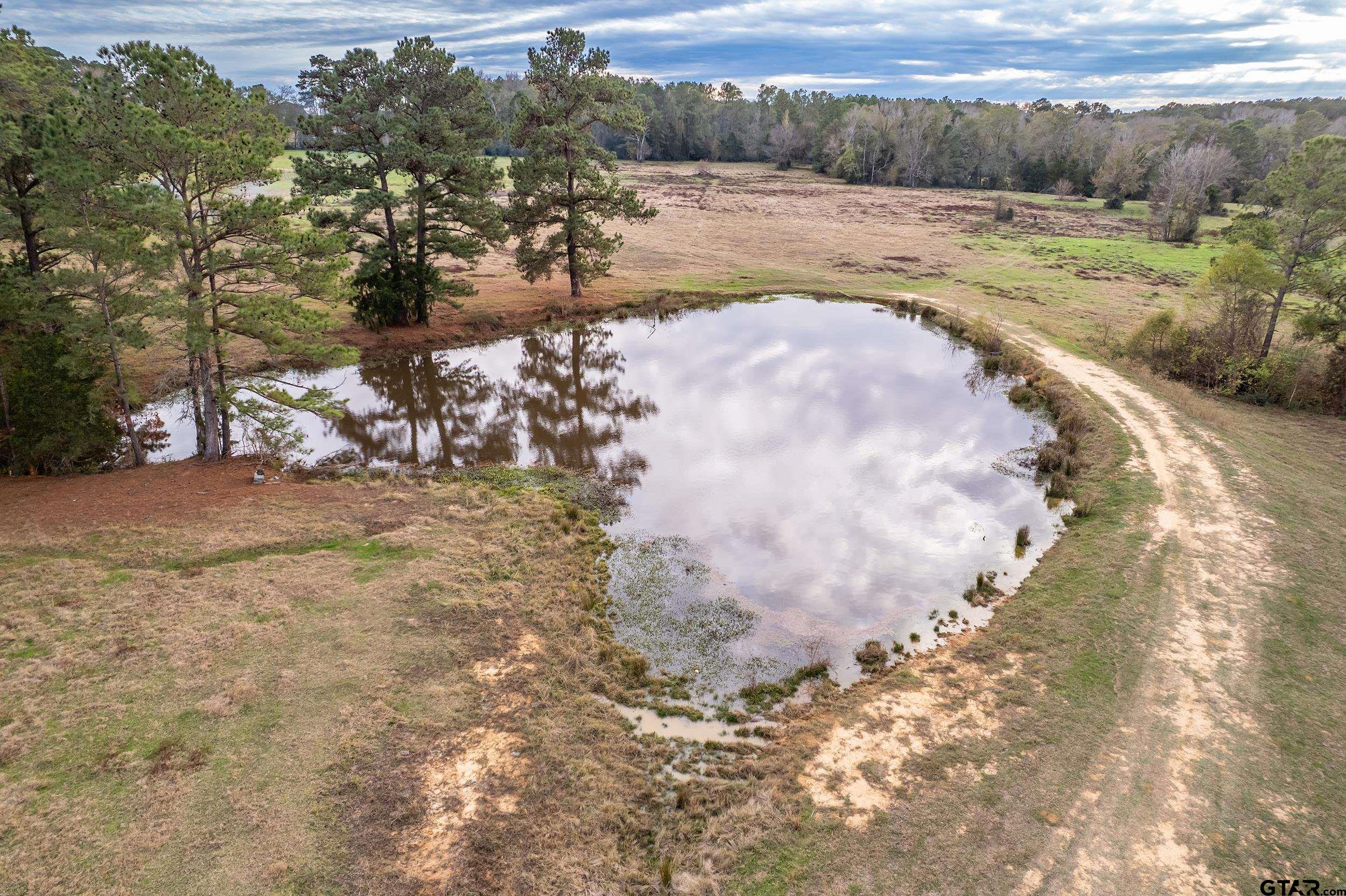 23 St Rusk Tx 75785 Rusk, TX 75785 - Photo 16 of 33 a view of a dry yard with wooden fence