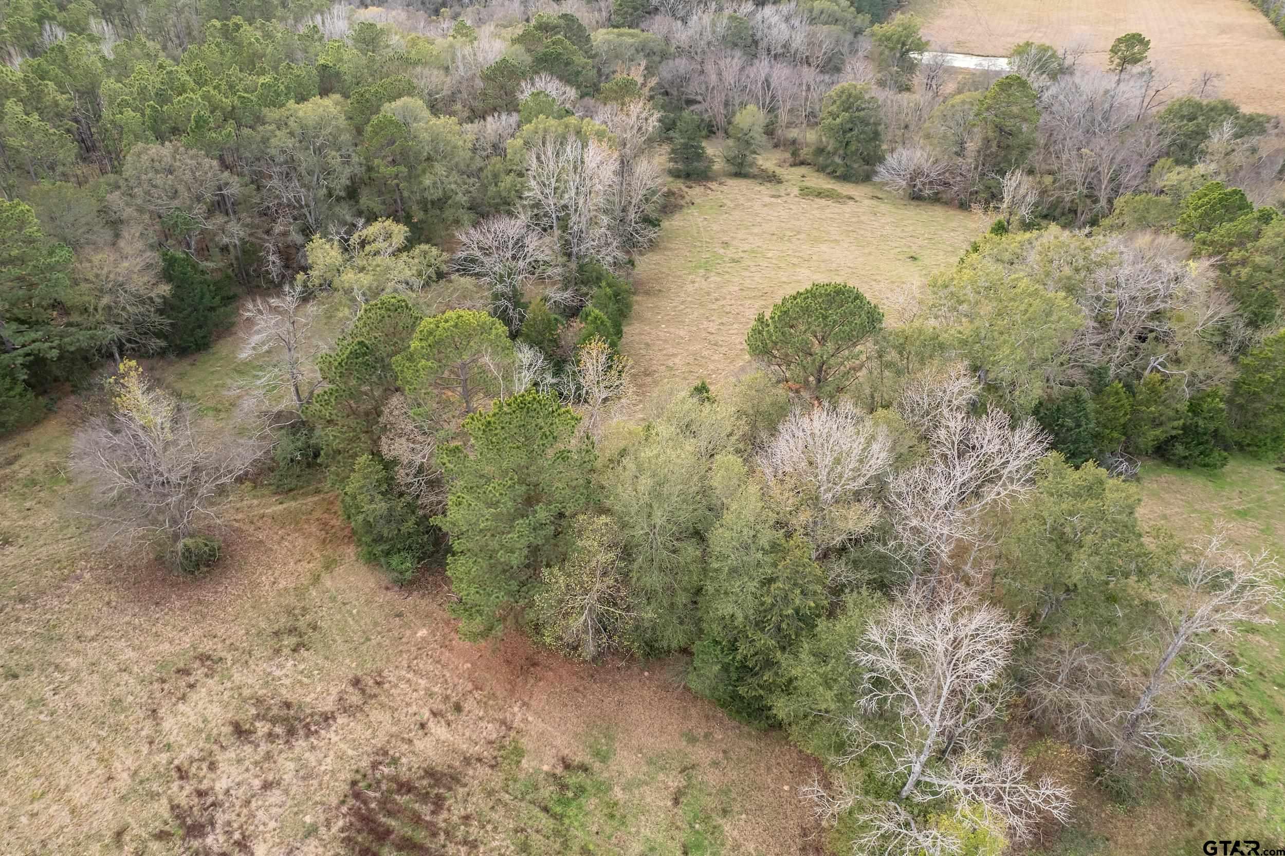 23 St Rusk Tx 75785 Rusk, TX 75785 - Photo 19 of 33 a view of a dirt pathway both side of yard