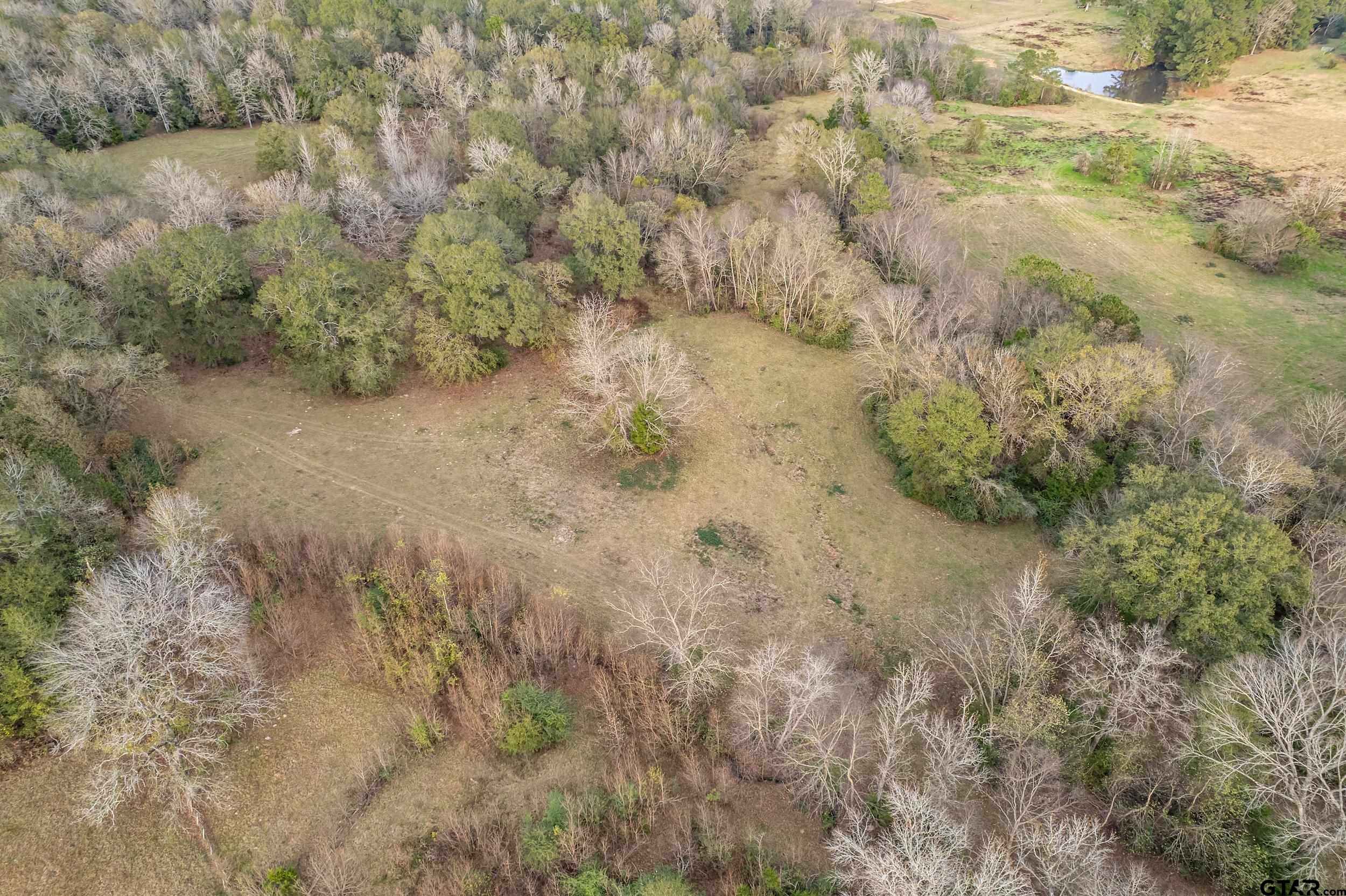 23 St Rusk Tx 75785 Rusk, TX 75785 - Photo 23 of 33 a view of a forest with trees