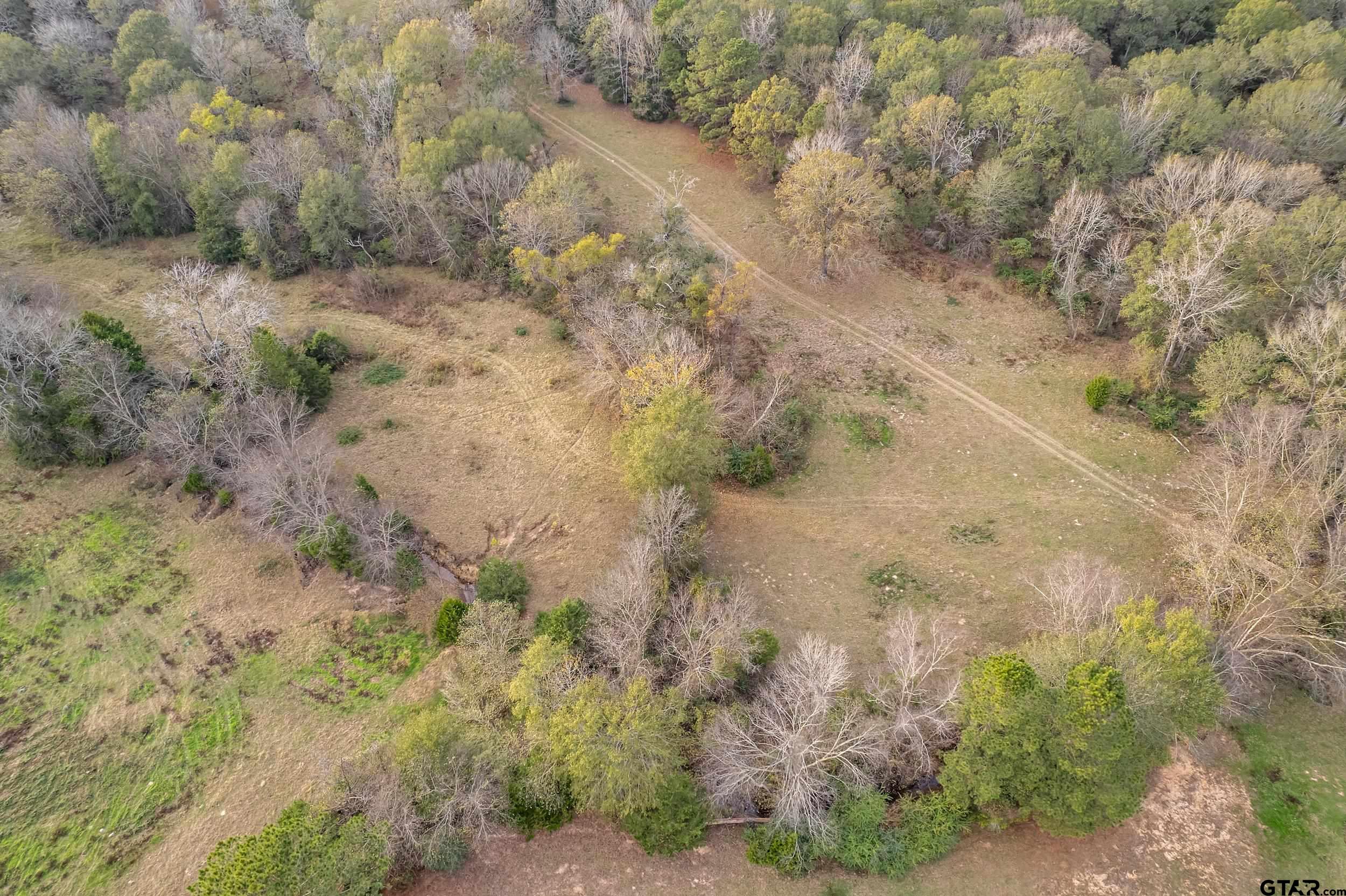 23 St Rusk Tx 75785 Rusk, TX 75785 - Photo 29 of 33 a view of a dry yard with trees