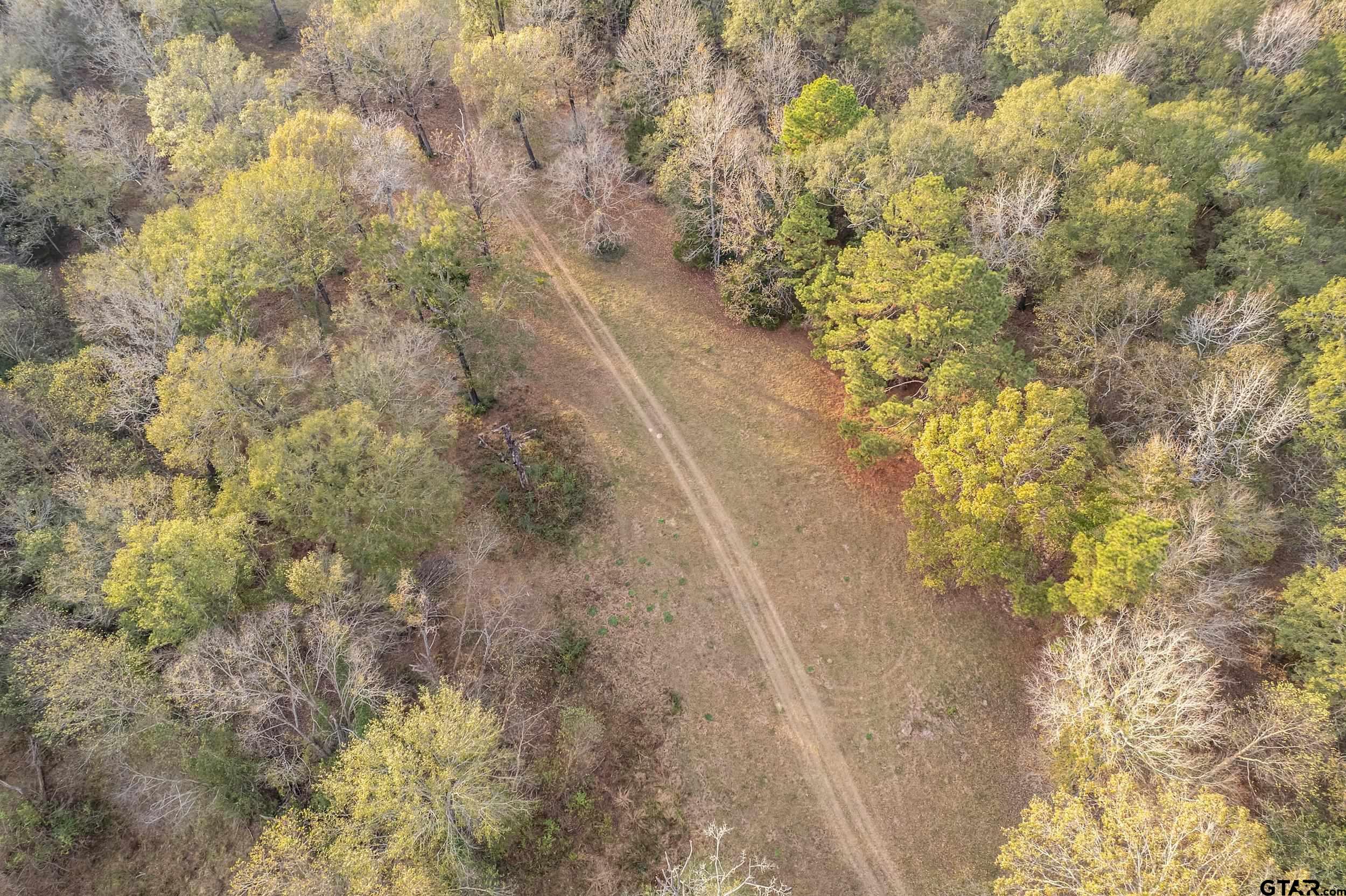 23 St Rusk Tx 75785 Rusk, TX 75785 - Photo 32 of 33 a view of a yard with a tree