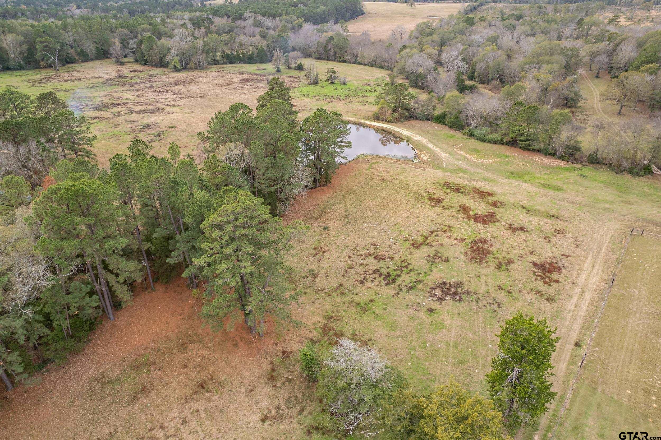 23 St Rusk Tx 75785 Rusk, TX 75785 - Photo 5 of 33 a view of a yard with trees