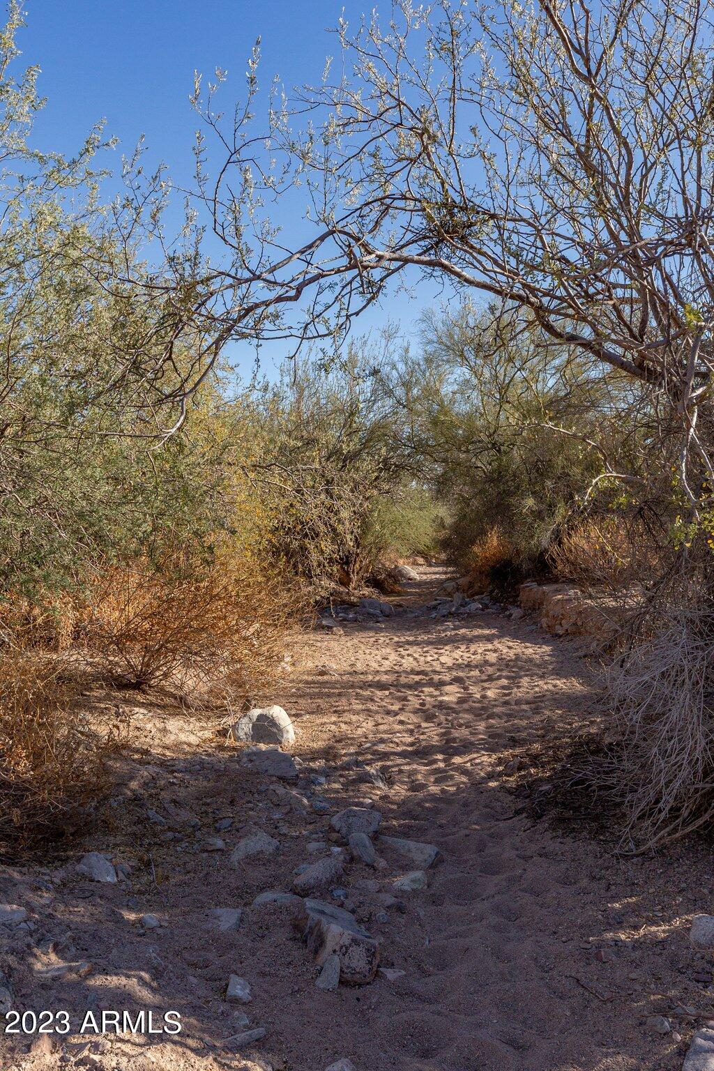 13969 East Geronimo Road Scottsdale, AZ 85259 - Photo 63 of 85 86-web-or-mls-IMG_8312