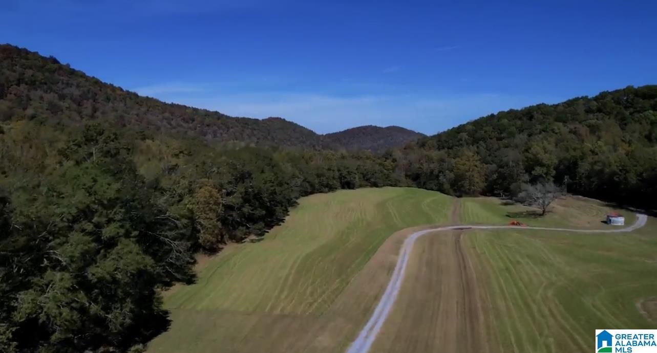 934 Fred Walker Road Oneonta, AL 35121 - Photo 72 of 78