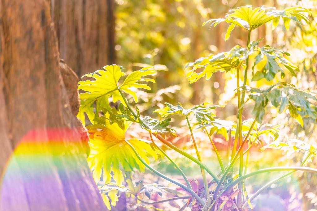 2001 Cathedral Drive Aptos, CA 95003 - Photo 34 of 42 a view of a swimming pool