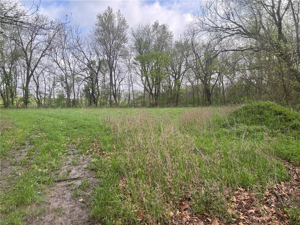 493 Southwest 1000th Road Chilhowee, MO 64733 - Photo 11 of 20