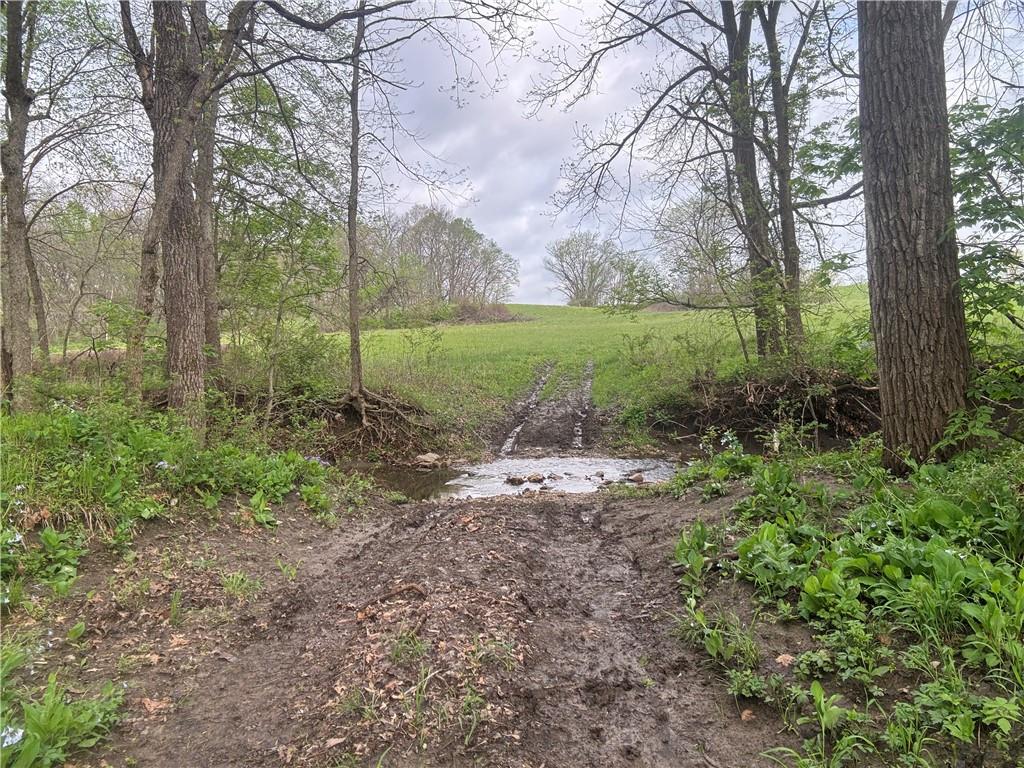 493 Southwest 1000th Road Chilhowee, MO 64733 - Photo 12 of 20