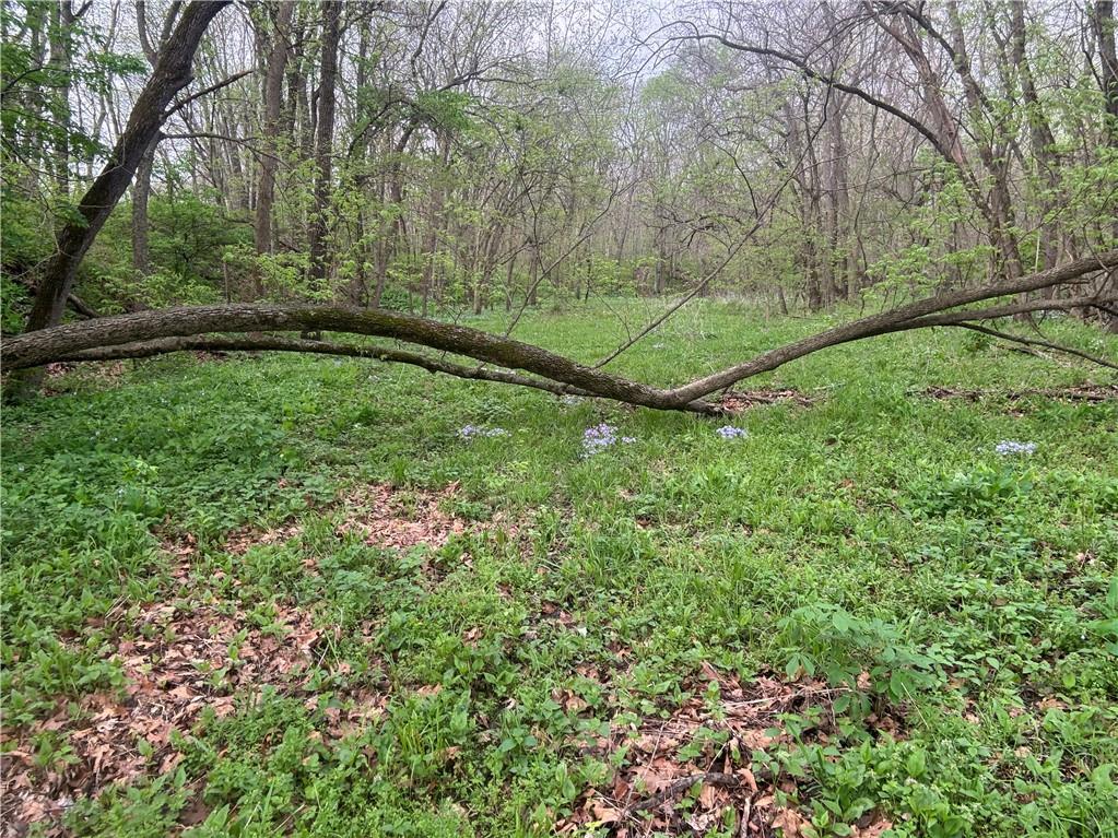 493 Southwest 1000th Road Chilhowee, MO 64733 - Photo 13 of 20