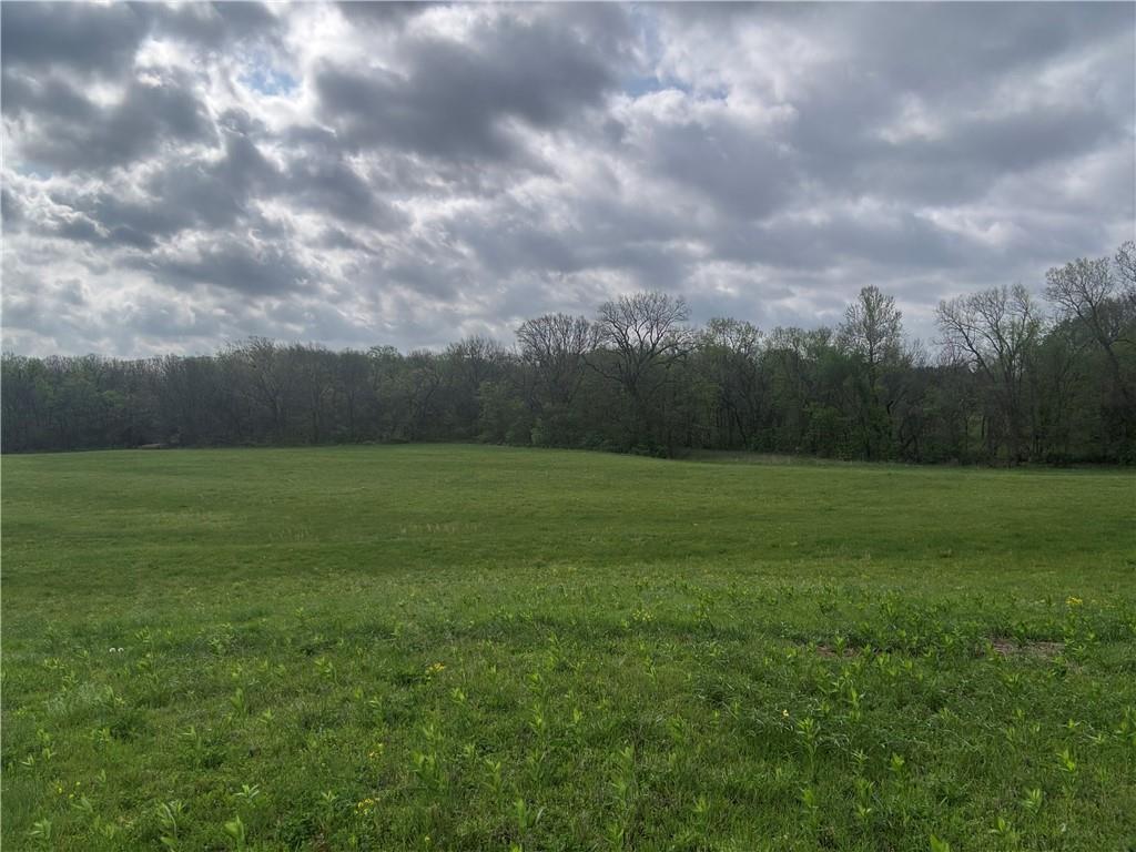 493 Southwest 1000th Road Chilhowee, MO 64733 - Photo 14 of 20