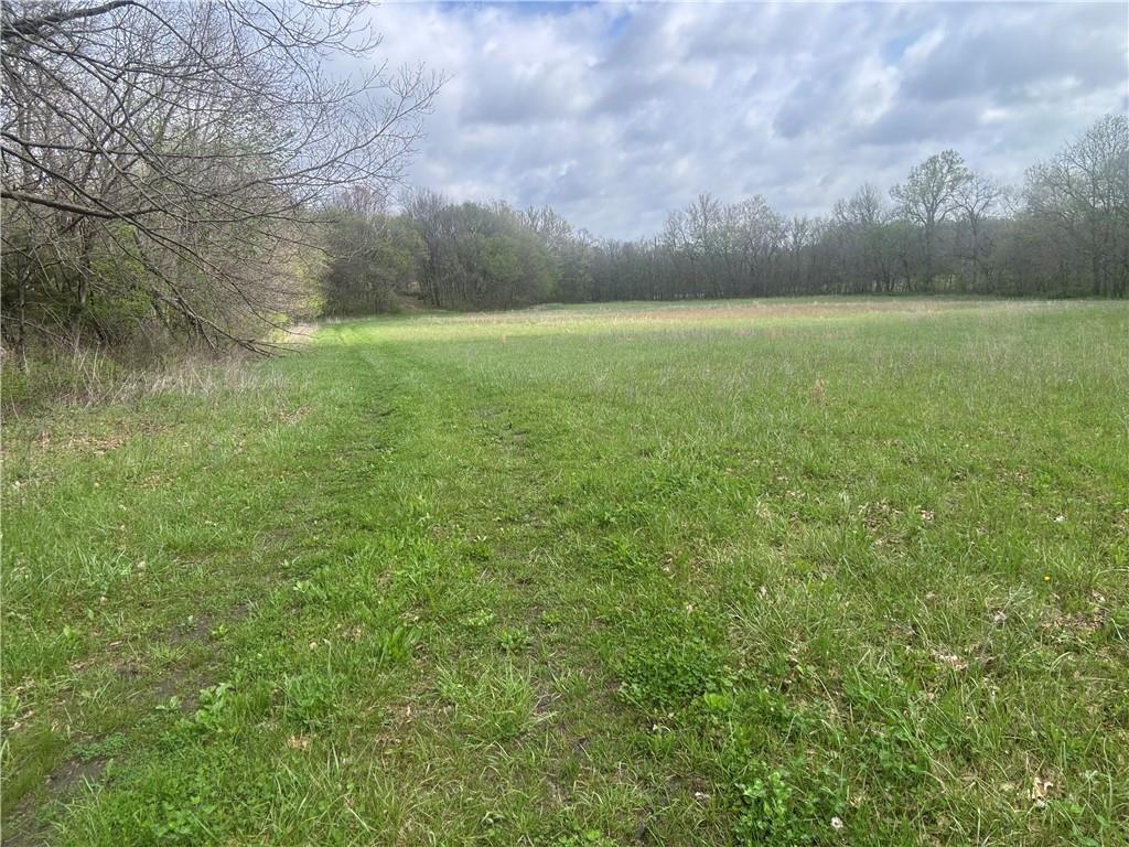 493 Southwest 1000th Road Chilhowee, MO 64733 - Photo 16 of 20