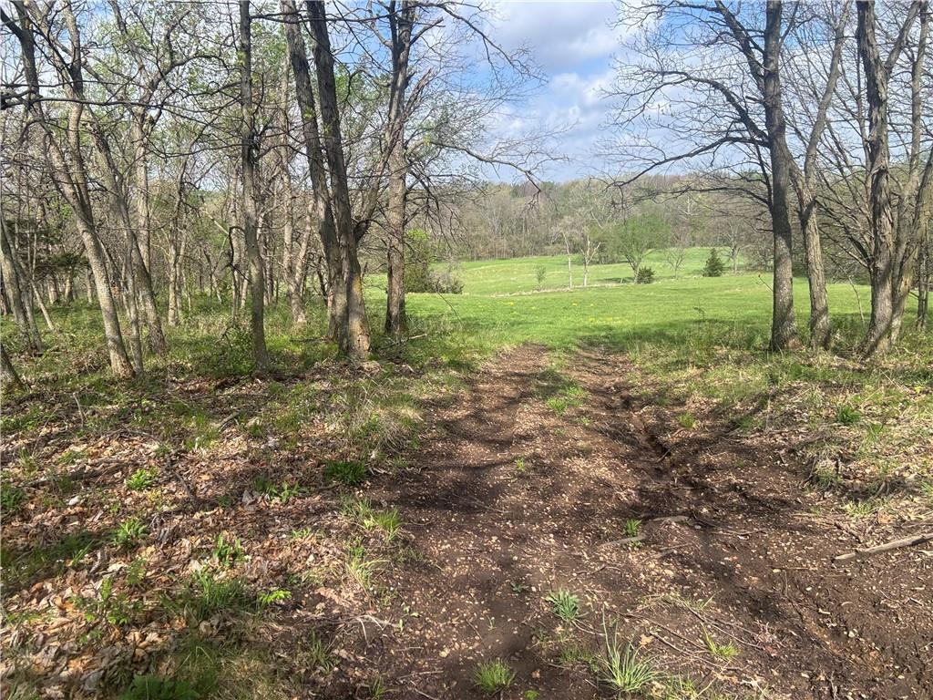 493 Southwest 1000th Road Chilhowee, MO 64733 - Photo 17 of 20