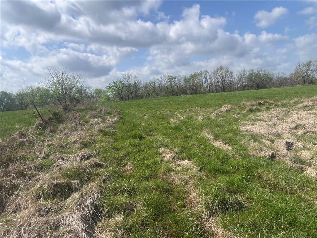 493 Southwest 1000th Road Chilhowee, MO 64733 - Photo 18 of 20