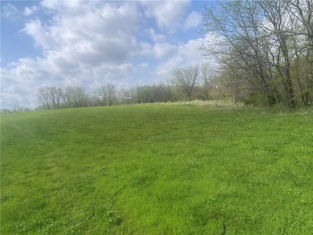 493 Southwest 1000th Road Chilhowee, MO 64733 - Photo 19 of 20