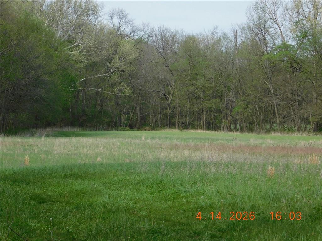 493 Southwest 1000th Road Chilhowee, MO 64733 - Photo 3 of 20