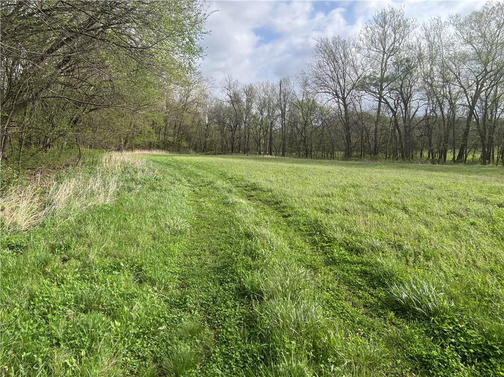 493 Southwest 1000th Road Chilhowee, MO 64733 - Photo 6 of 20