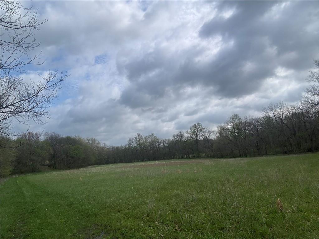 493 Southwest 1000th Road Chilhowee, MO 64733 - Photo 7 of 20