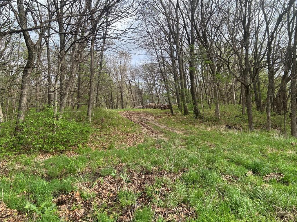 493 Southwest 1000th Road Chilhowee, MO 64733 - Photo 8 of 20