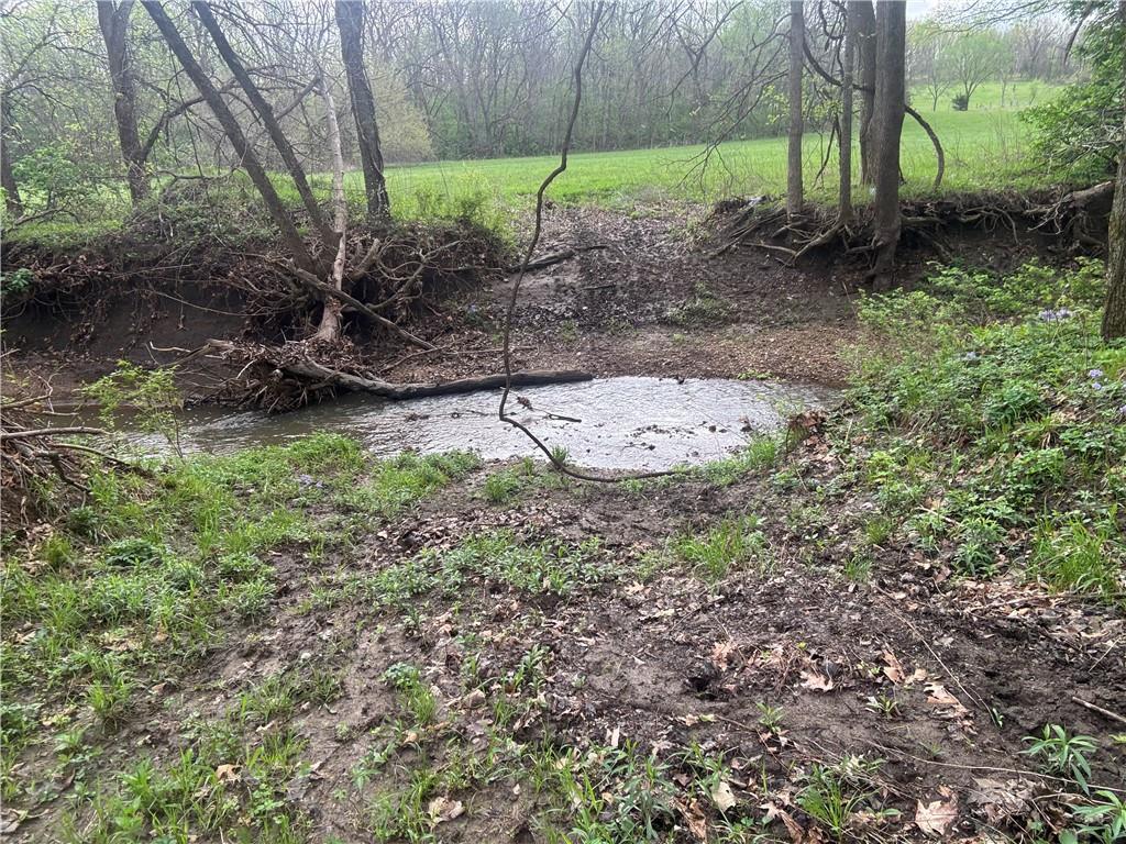 493 Southwest 1000th Road Chilhowee, MO 64733 - Photo 10 of 20