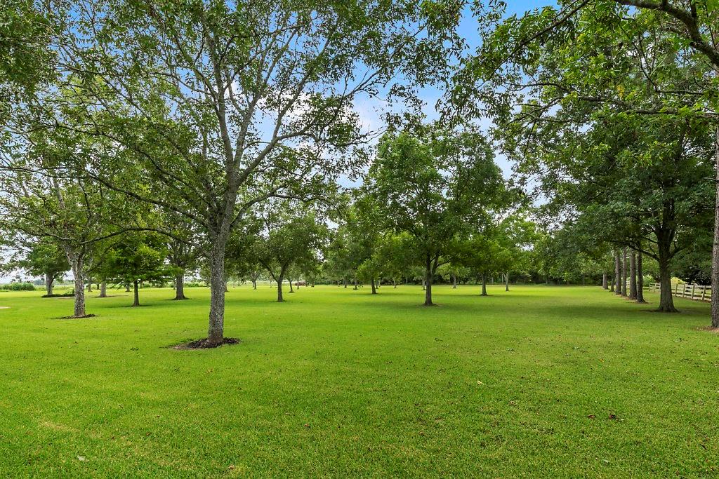 274 Fenner Duncan Road Egan, LA 70531 - Photo 26 of 29