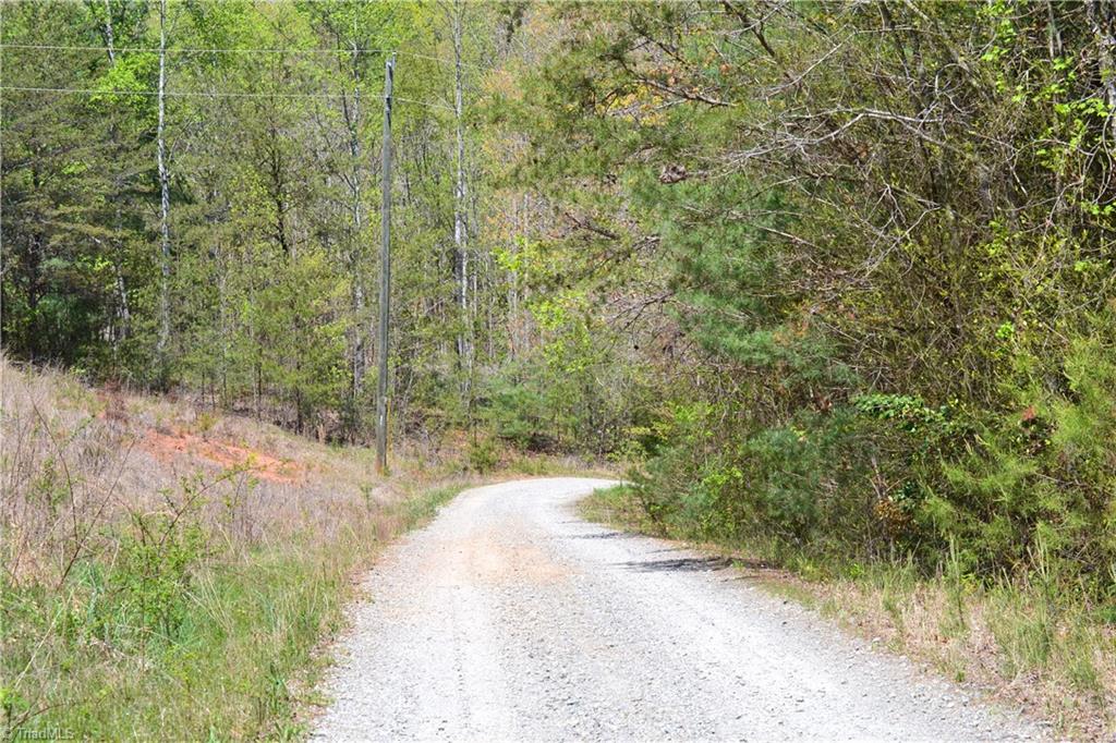 0 Swaringen Road Traphill, NC 28685 - Photo 6 of 15