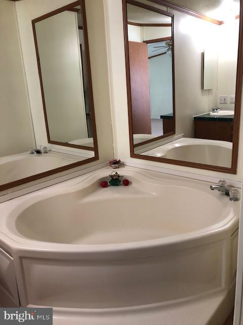 10505 Cedarville Road Brandywine, MD 20613 - Photo 10 of 11 Soak Tub in Primary Bathroom