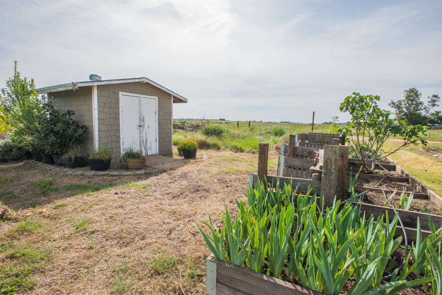 12164 Alabama Road Herald, CA 95638 - Photo 64 of 91