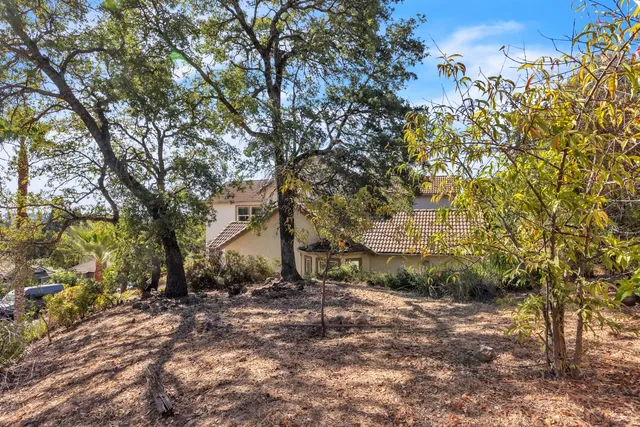 a view of backyard of house