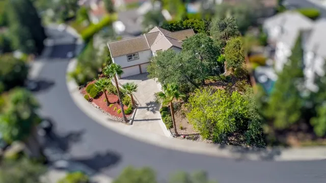 a view of a flower in a garden