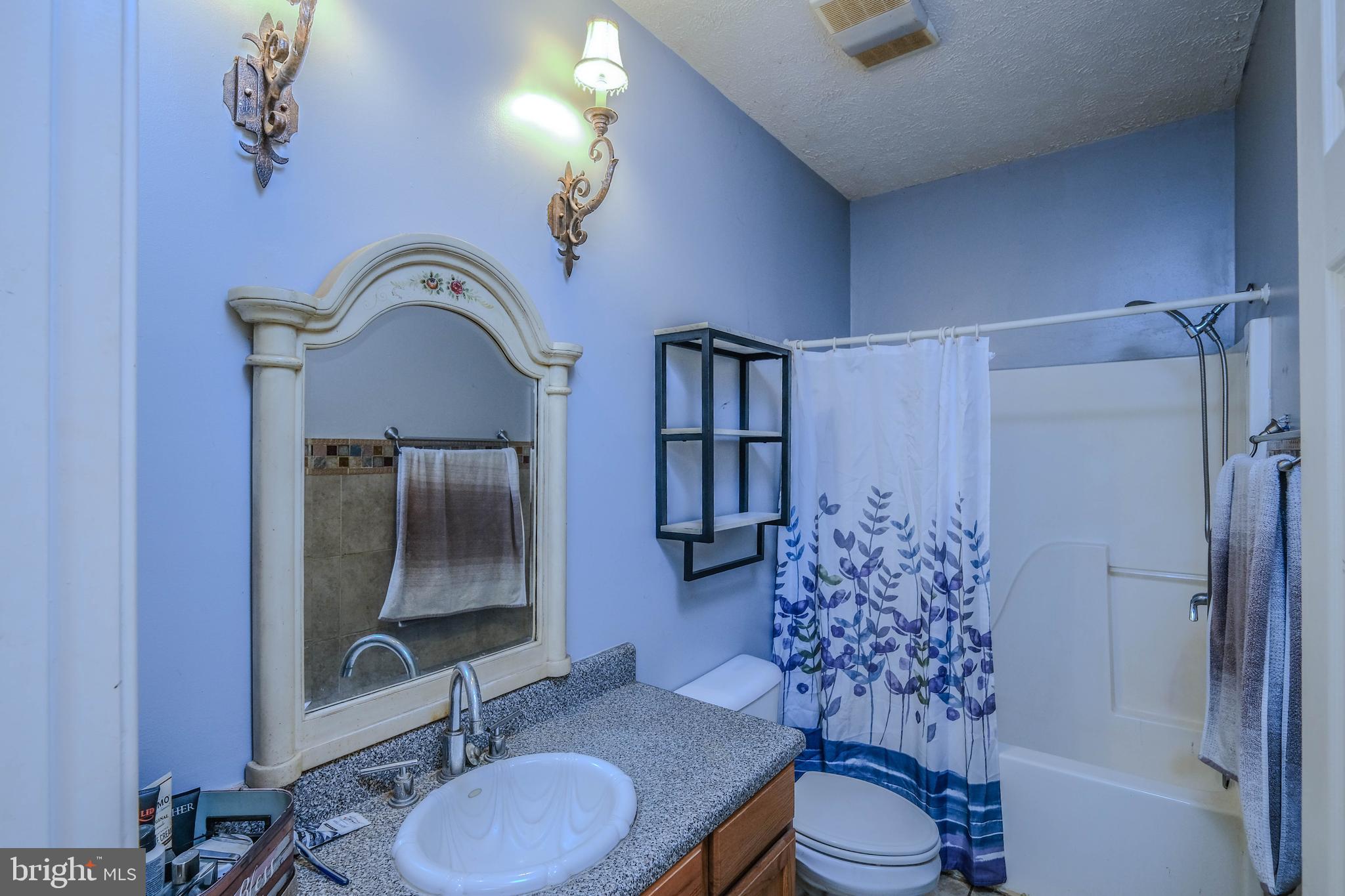 1195 Shangri-La Road Bentonville, VA 22610 - Photo 52 of 64 a bathroom with a sink toilet and shower