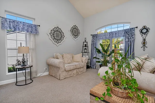 a living room with furniture and a potted plant