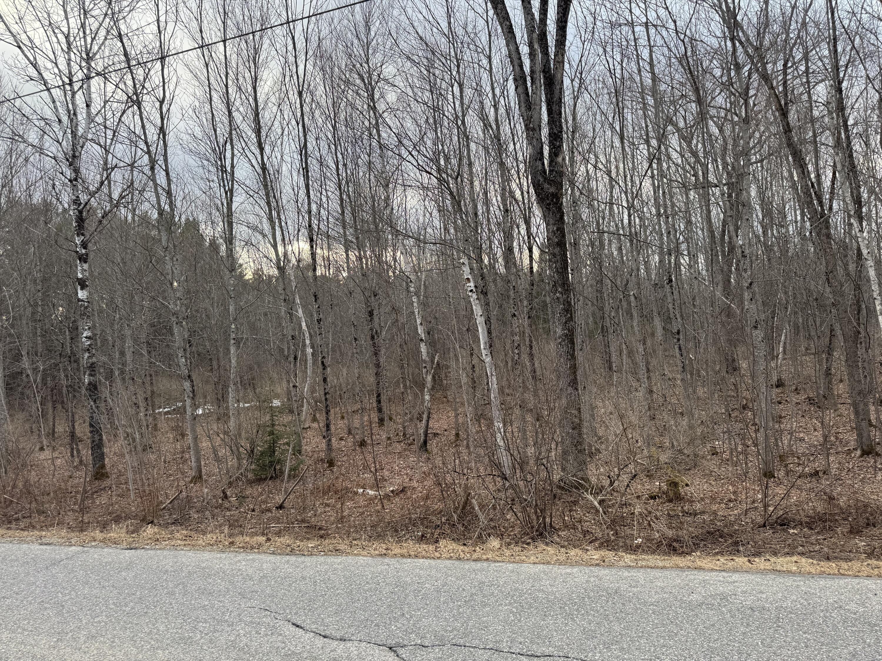 0 Mc Caslin Road Penobscot, ME 04476 - Photo 1 of 4 McCaslin Rd