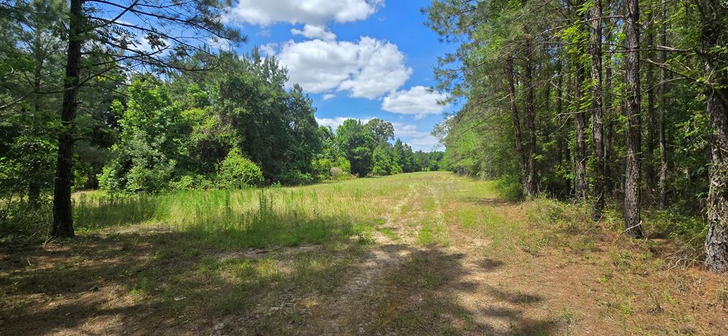 10 Mt Zion Road Gordon, AL 36343 - Photo 5 of 28