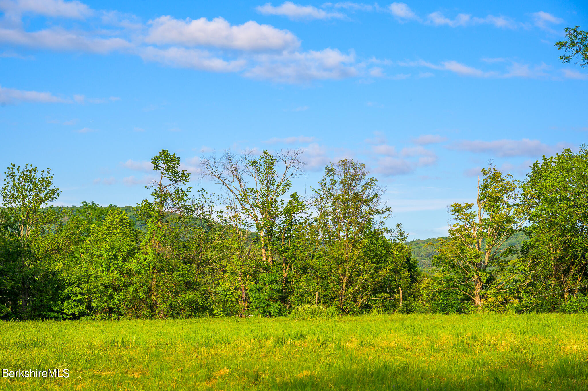 0 East Street Lenox, MA 01240 - Photo 2 of 9 a view of a yard