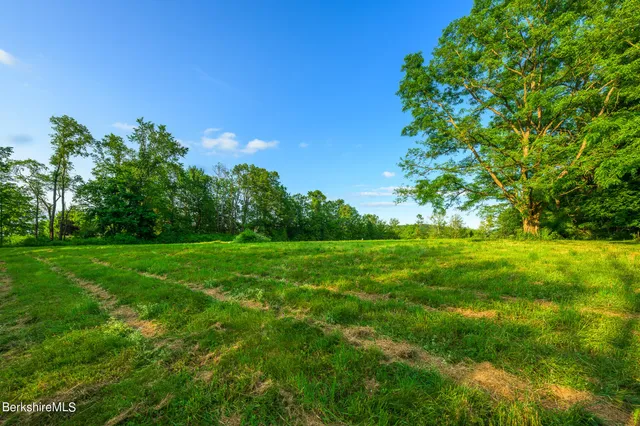 a view of yard with green space