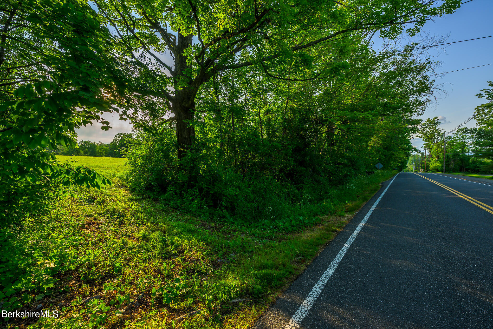 0 East Street Lenox, MA 01240 - Photo 9 of 9 a view of a yard with plants