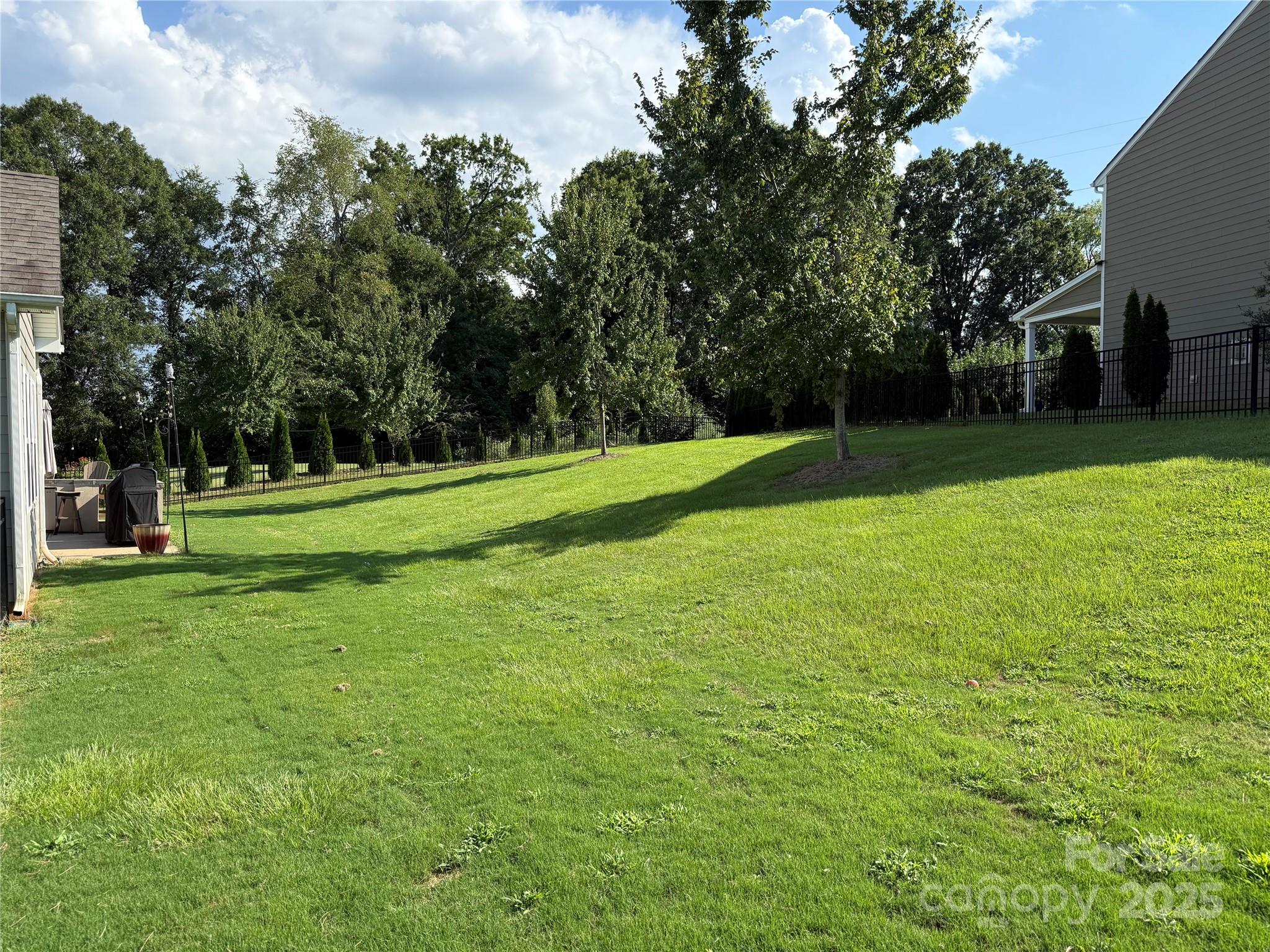 15925 Foreleigh Road Huntersville, NC 28078 - Photo 6 of 48 a view of a park with large trees