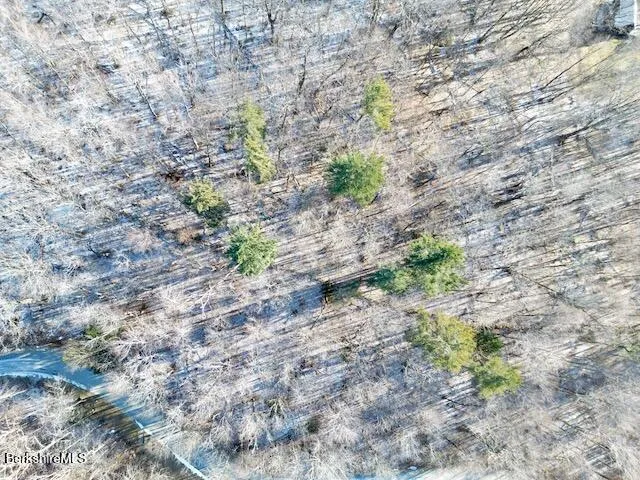 a view of a backyard of the house