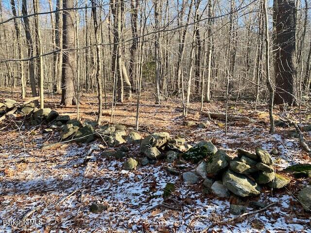 Lot 19 I West Center Road Otis, MA 01253 - Photo 5 of 8 Stone Wall