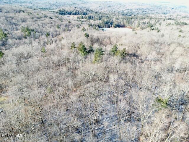 Lot 19 I West Center Road Otis, MA 01253 - Photo 8 of 8 Drone