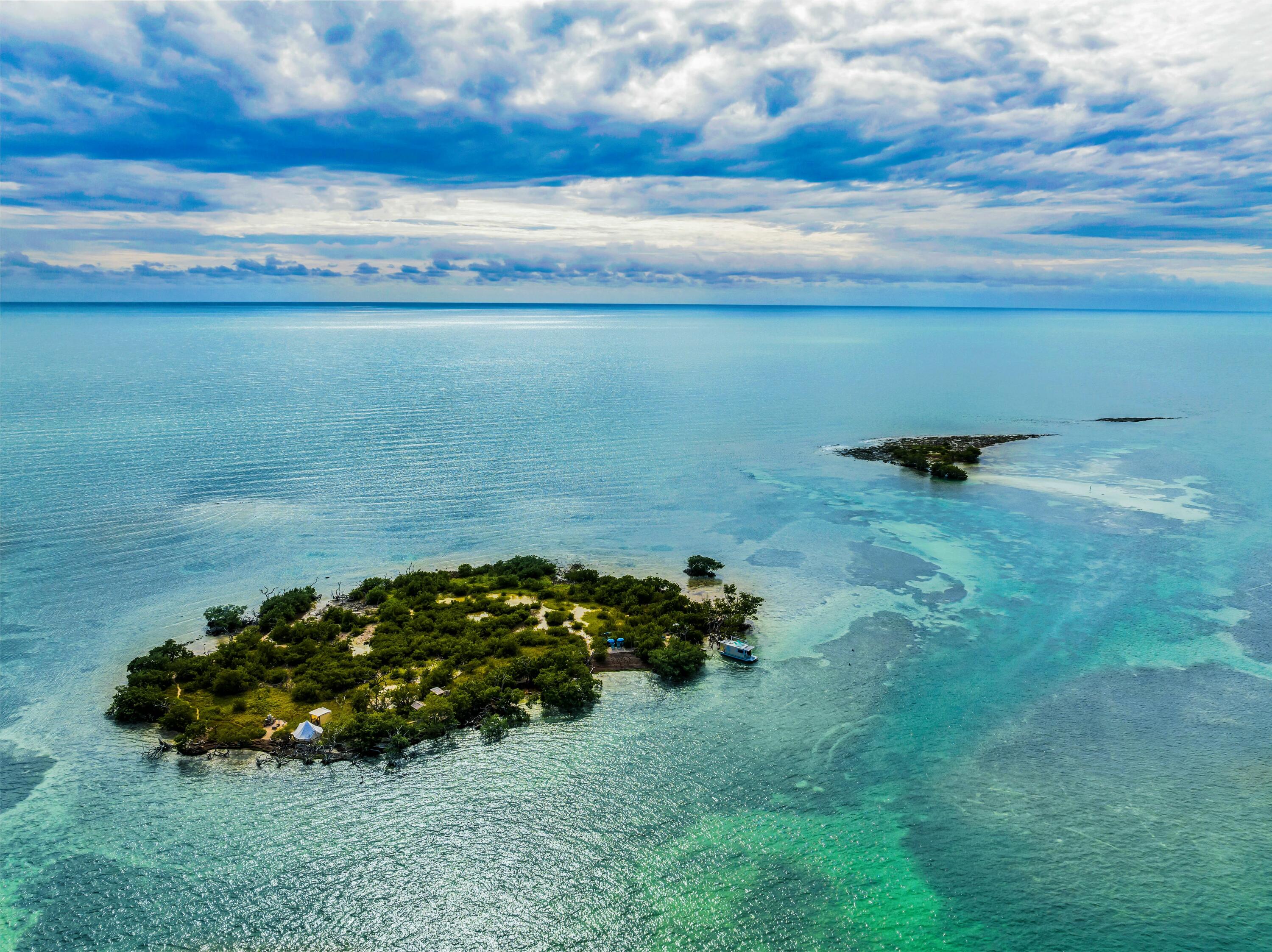 Molasses Keys Marathon, FL 33050 - Photo 15 of 36 a view of a garden with lawn chairs