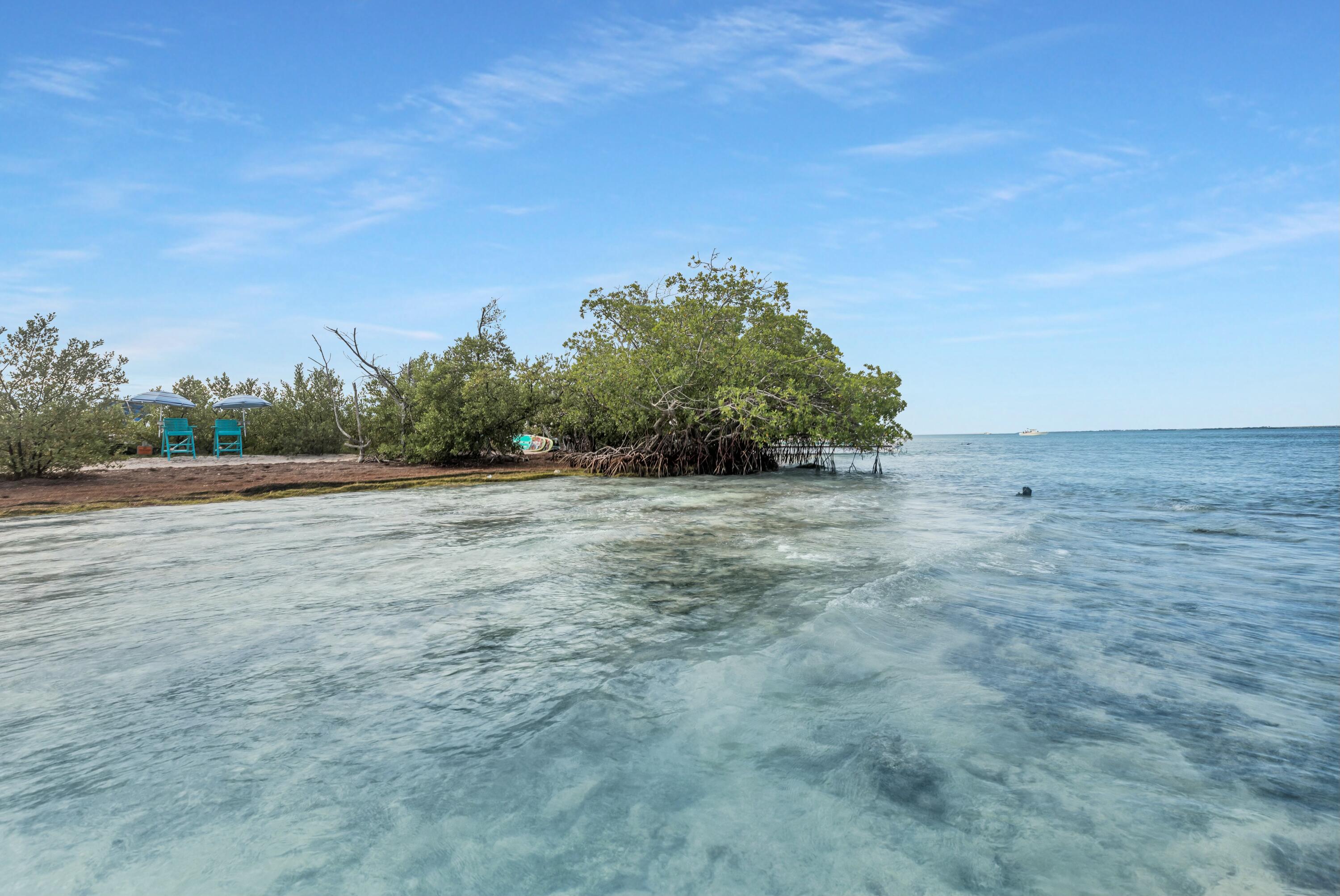 Molasses Keys Marathon, FL 33050 - Photo 21 of 36 a view of a big yard