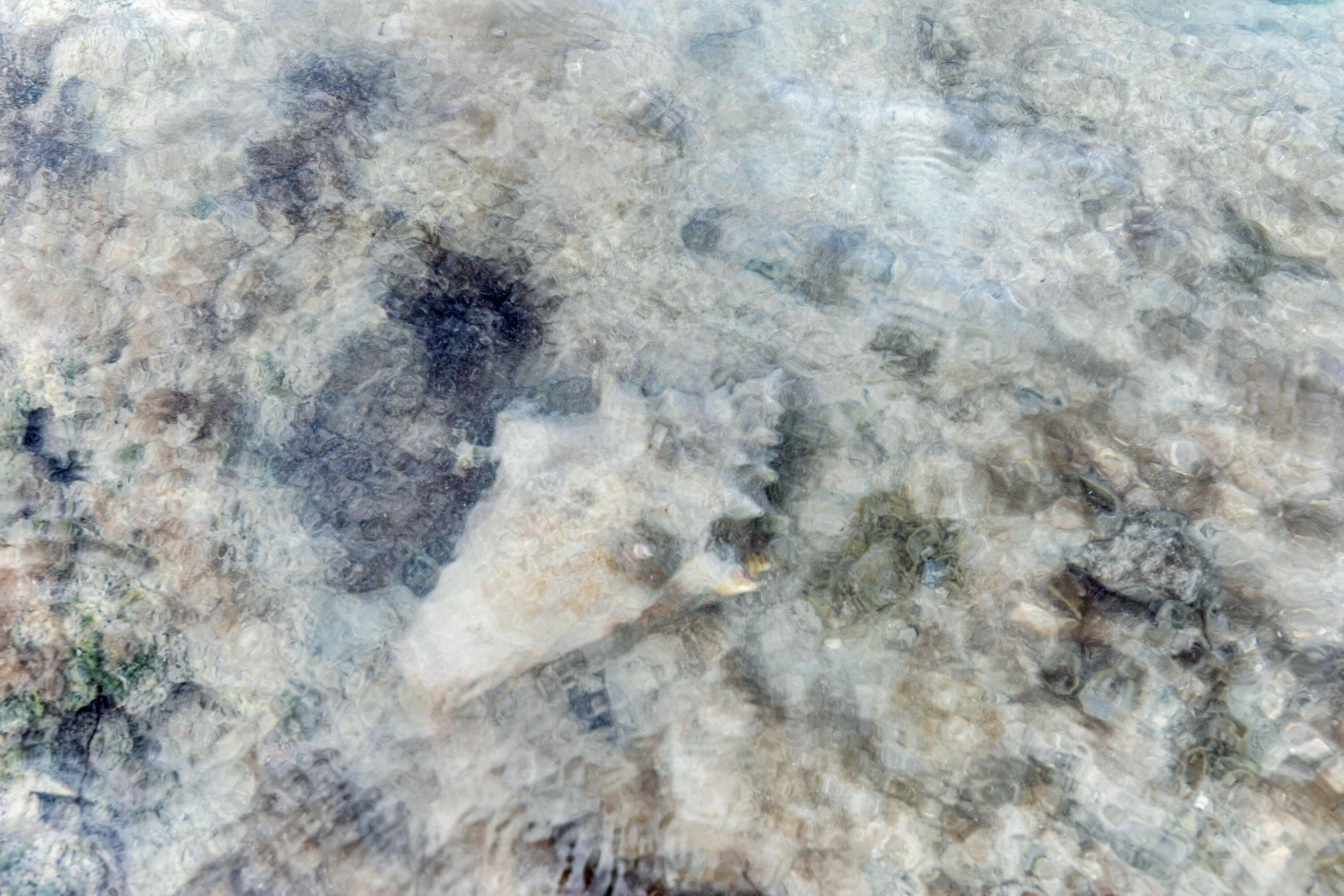 Molasses Keys Marathon, FL 33050 - Photo 22 of 36 a close up of a white marble top